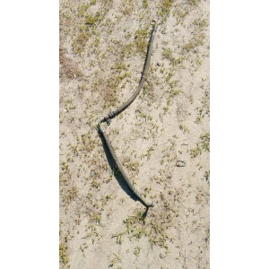 Изображение товара -  21526751481 шланг гур Bmw E46