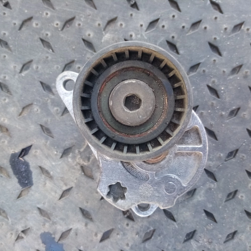 Натяжной ролик Volvo s 80 2.4 123405501