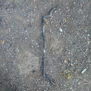 Изображение товара -  Передний стабилизатор Hyundai Elantra