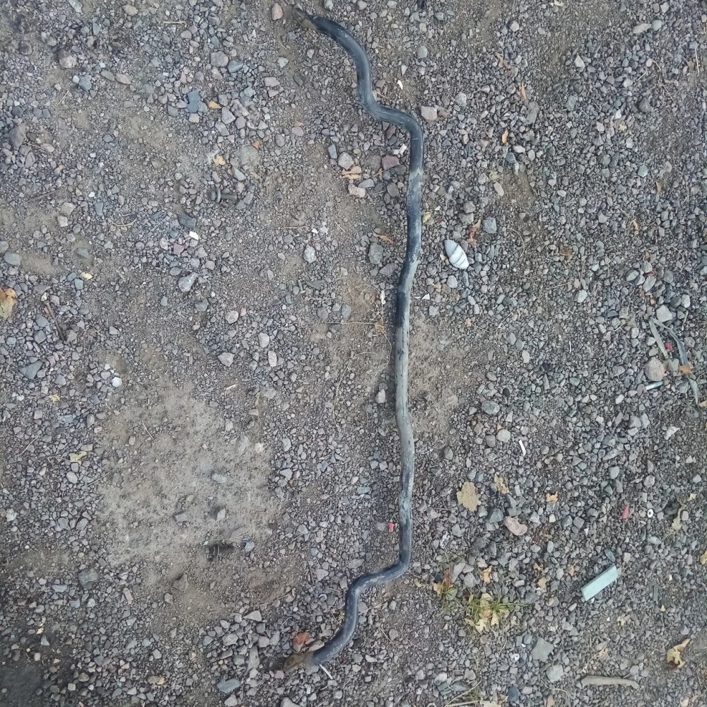 Передний стабилизатор Hyundai Elantra